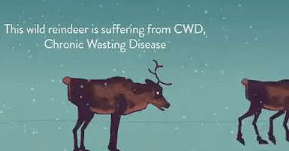 Chronic Wasting Disease
